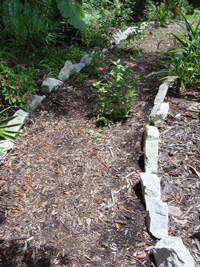 Rocks along a pathway